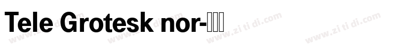 Tele Grotesk nor字体转换